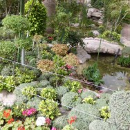 Garden Adliya Kanoo